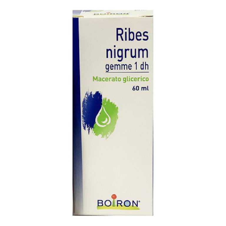 RIBES NIGRUM GEMME 60ML MG